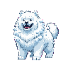 Samoyeti sprite